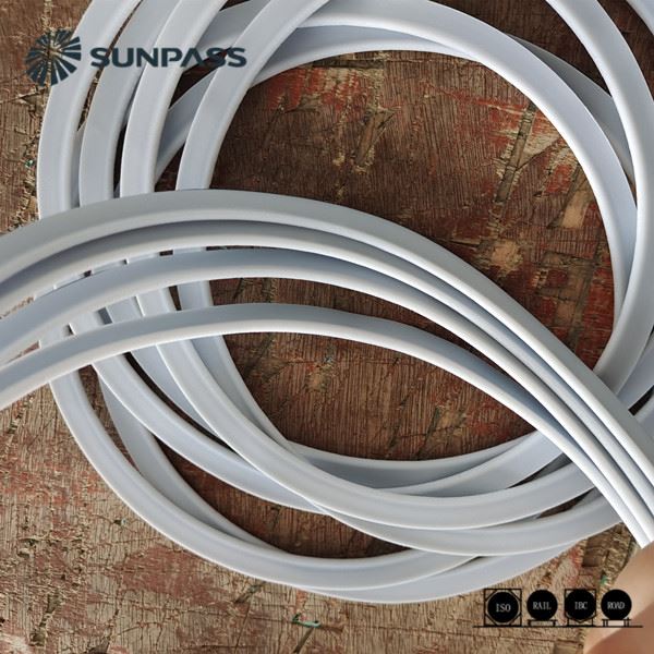 Syphone Tube Gasket